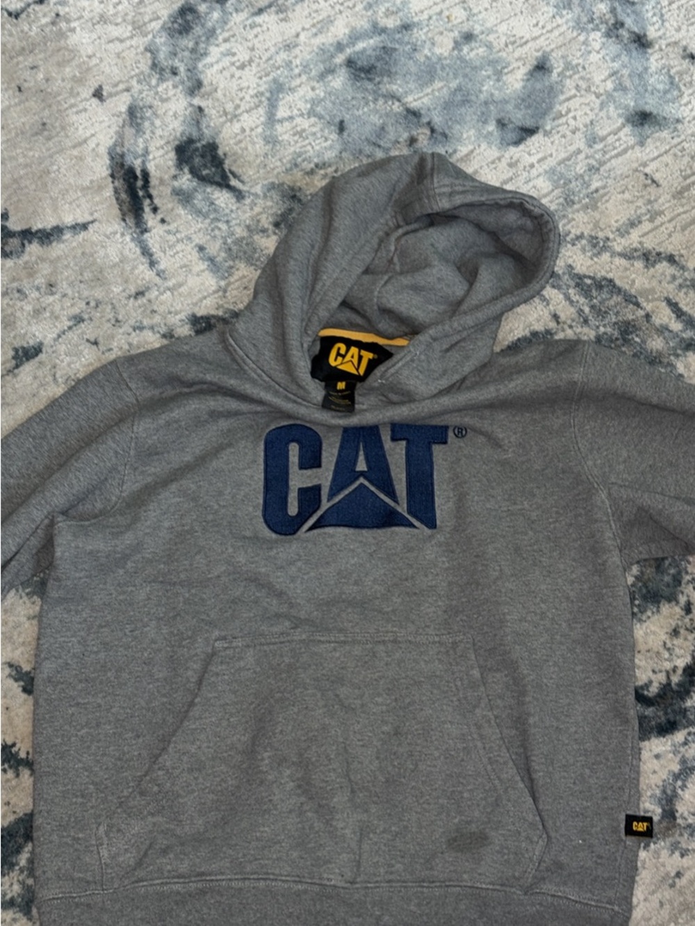 Gray Hooded Sweatshirt with Blue Logo